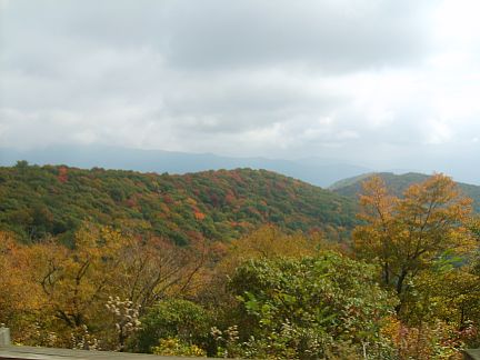 Right click for VIDEO!!