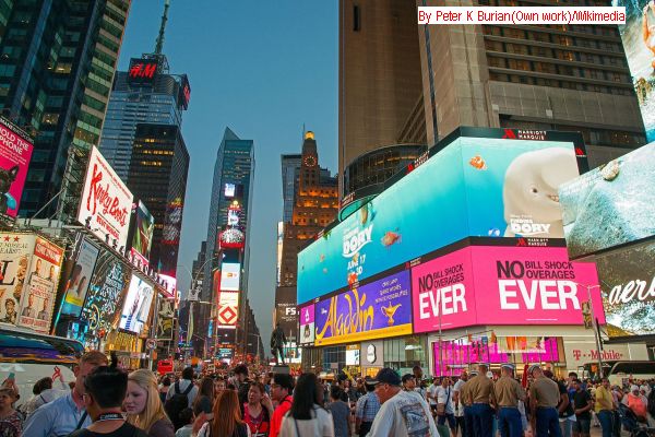 QCT New York State of Mind Trip 2019 Travel Article Pic!