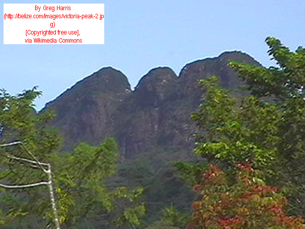 International Travel News