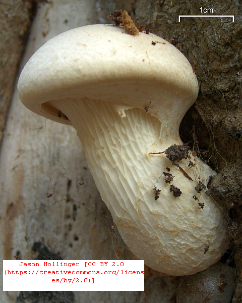 Click for Nantahala Gorge NC Re-opens National Travel News! Nantahala Gorge NC Re-opens National Travel News!