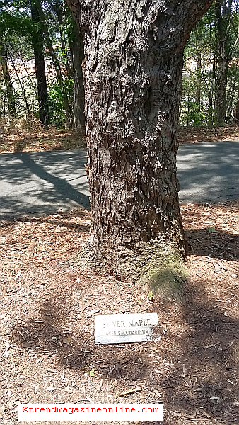 Click To Enlarge Chery Park Rock Hill SC Review Pic! Chery Park Rock Hill SC Review Pic!