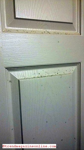 Affordable Corporate Suites Roanoke VA Part III Review Pic!