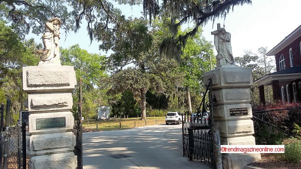 Click To Enlarge Savannah Georgia Review Pic! Savannah Georgia Review Pic!