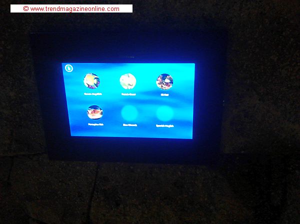 Click to Enlarge Sea Life Aquarium, Concord, NC, Review Pic! Sea Life Aquarium,Concord, NC, Review Pic