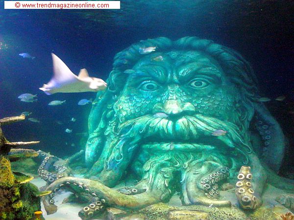 Click for Sea Life Aquarium, Concord, NC, Review Sea Life Aquarium, Concord, NC, Review