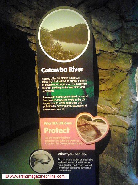 Click to Enlarge Sea Life Aquarium, Concord, NC, Review Pic! Sea Life Aquarium,Concord, NC, Review Pic