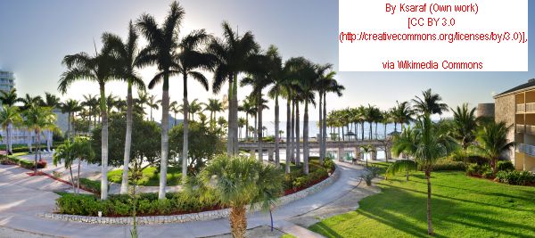 Click for International Travel News! International Travel News