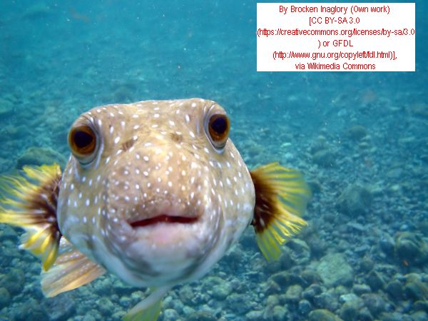 Click for November 2017 Travel News! November 2017 Travel News