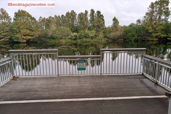 Click To Enlarge Wingate by Wyndam Orlando Universal Review Pic! Wingate by Wyndam Orlando Universal Review Pic!