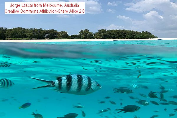 Top 10 Most Exclusive Private Island Resorts Worldwide