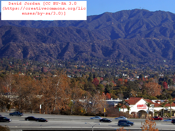 Gwiin Correa Monrovia CA CLIA Travel Interview