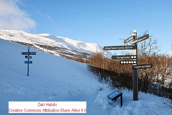 Top 10 Best Hotels for Viewing the Northern Lights